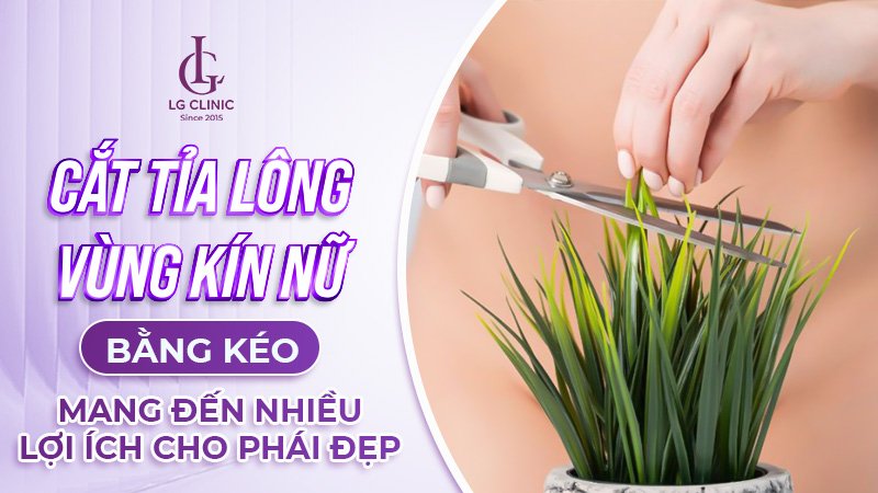 Cách tỉa lông vùng kín nữ bằng kéo một cách nghệ thuật