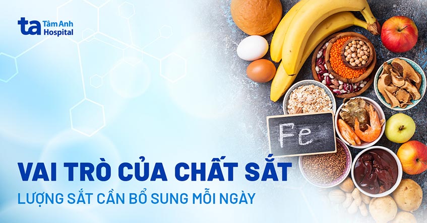 Chất sắt là gì? Tác dụng và lượng sắt cần bổ sung mỗi ngày