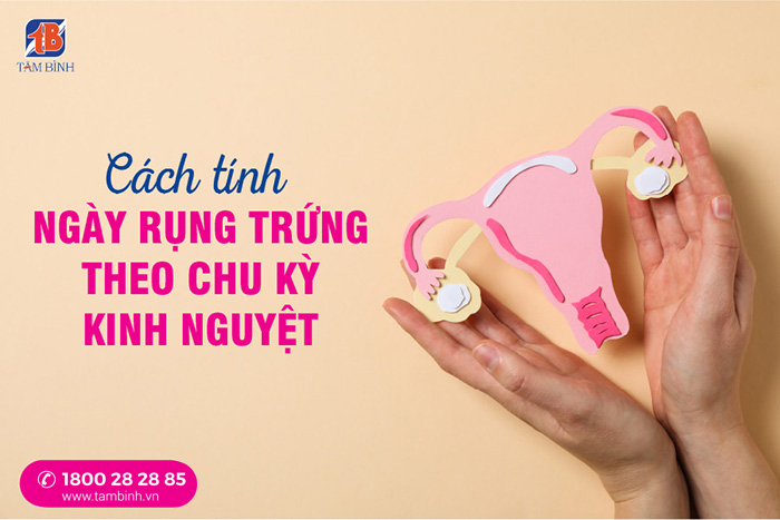 Cách tính chu kỳ kinh nguyệt và thời điểm rụng trứng chính xác nhất