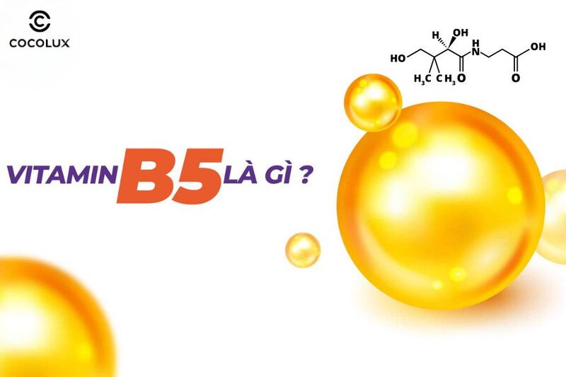 Bật mí 7+ tác dụng tuyệt vời của Vitamin B5 với làn da của bạn