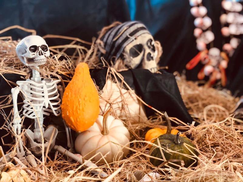 Halloween 2024 ngày mấy tháng mấy, còn mấy ngày nữa đến?