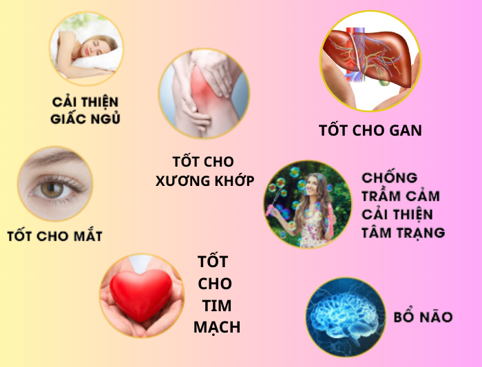 Uống dầu cá bao lâu thì nghỉ?