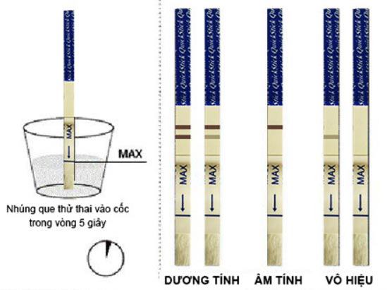 Cách dùng que thử thai chính xác nhất với một số loại que thử hay sử dụng