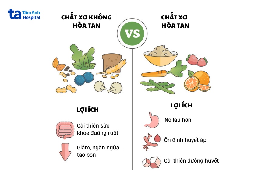 Chất xơ là gì? Thành phần, tác dụng, phân loại và vai trò với cơ thể