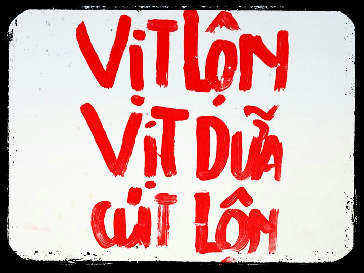 Có Nên Ăn Vịt Lộn, Vịt Dữa Và Cút Lộn?