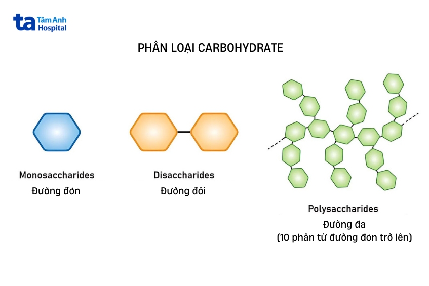 Carb là gì? Thành phần, vai trò, phân loại và tác dụng với cơ thể