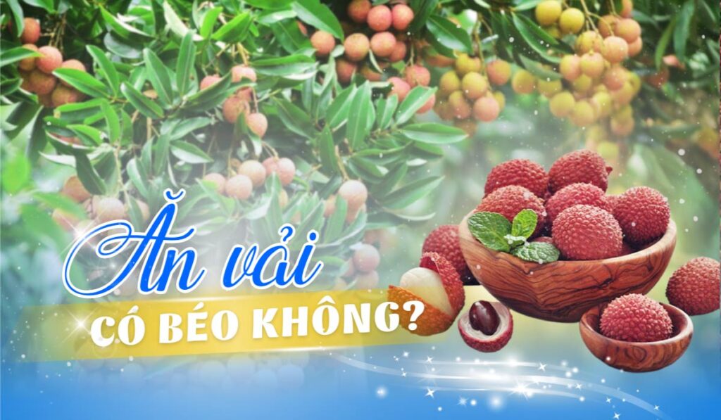 Ăn vải có béo không? 5 điều cần lưu ý khi ăn vải