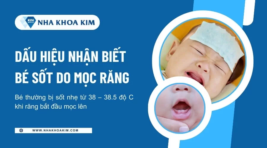 Dấu hiệu bé sốt mọc răng và cách giảm sốt tại nhà