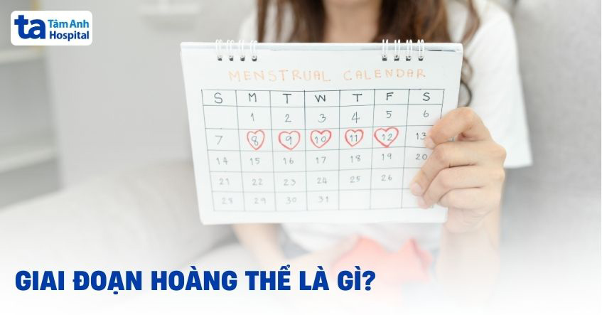 Giai đoạn hoàng thể là gì? Vai trò, ý nghĩa với kết quả mang thai