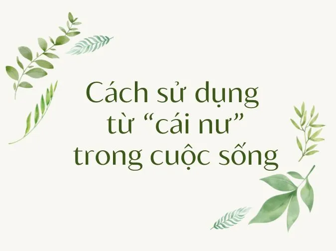 Cái nư là gì? Cụm từ