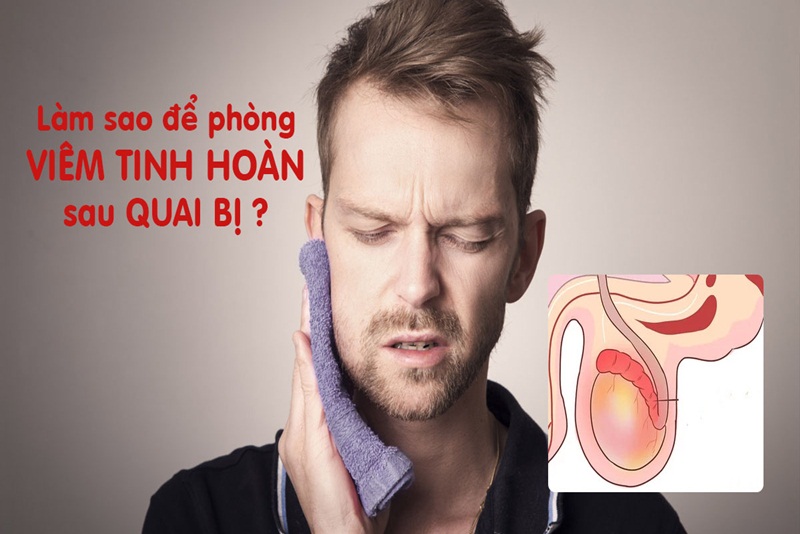 Bệnh quai bị lây qua đường nào và cách phòng ngừa ra sao?