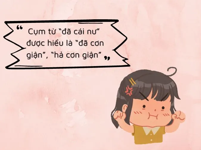 Cái nư là gì? Cụm từ