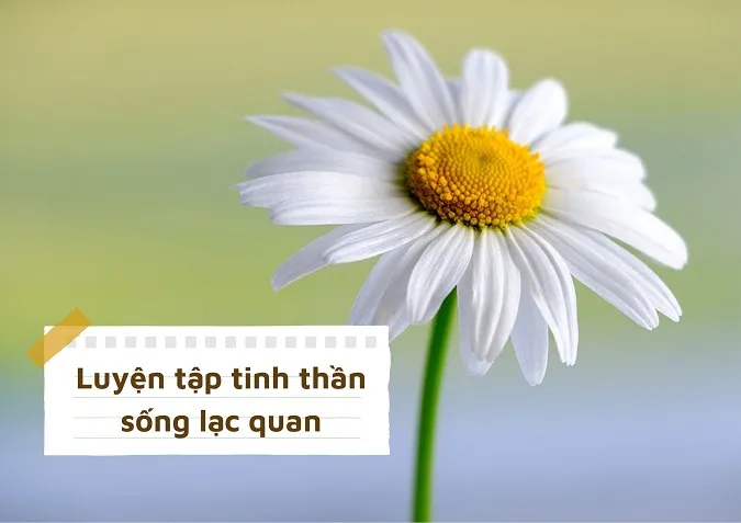 Top 15 quan điểm sống tích cực nhất mà bạn không thể bỏ qua