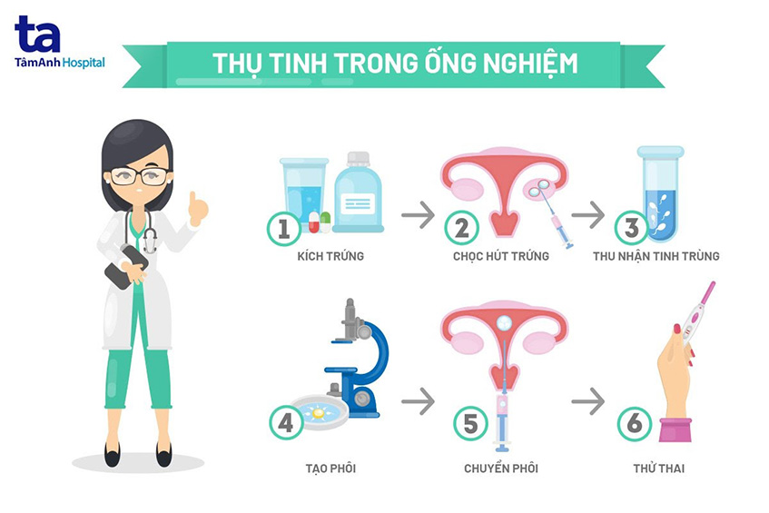 Thụ tinh ống nghiệm IVF là gì? Lợi ích và quy trình thực hiện