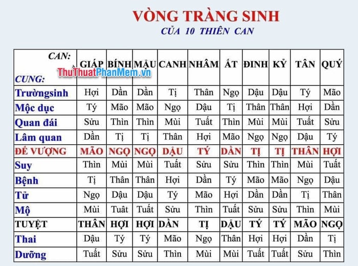 Khám phá ẩn tuổi - Điều bí mật của sự kỳ diệu