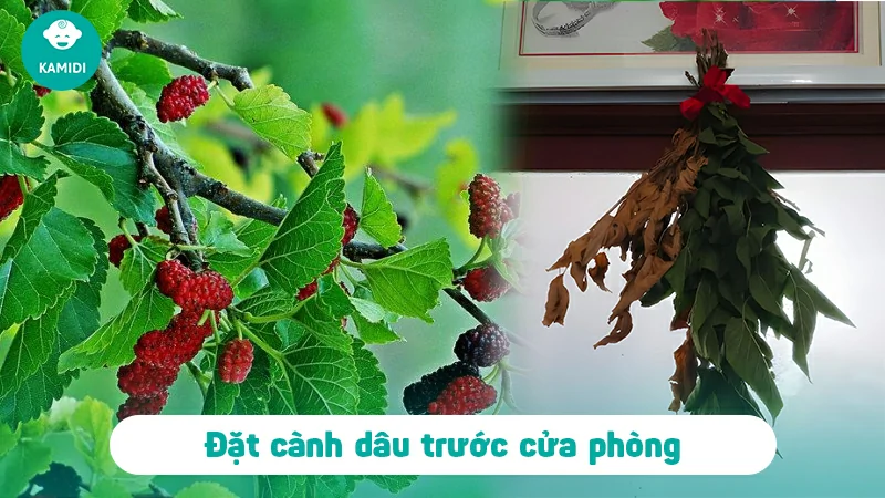 Trẻ sơ sinh phải vía - Nhận biết, nguyên nhân và cách xử lý