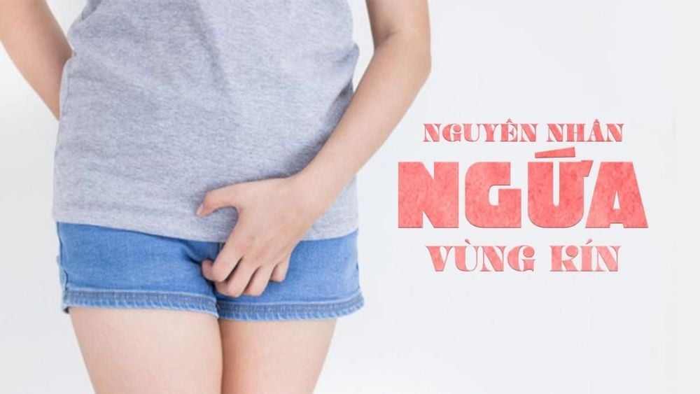 Ngứa vùng kín nữ, nguyên nhân do đâu?