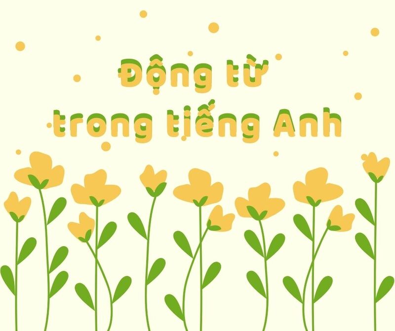 Tổng hợp từ Tiếng Anh bắt đầu bằng chữ