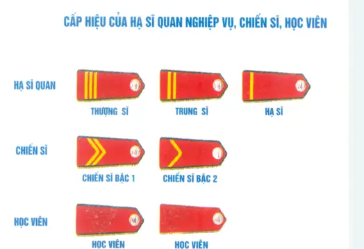 Cấp bậc trong quân đội nhân dân Việt Nam