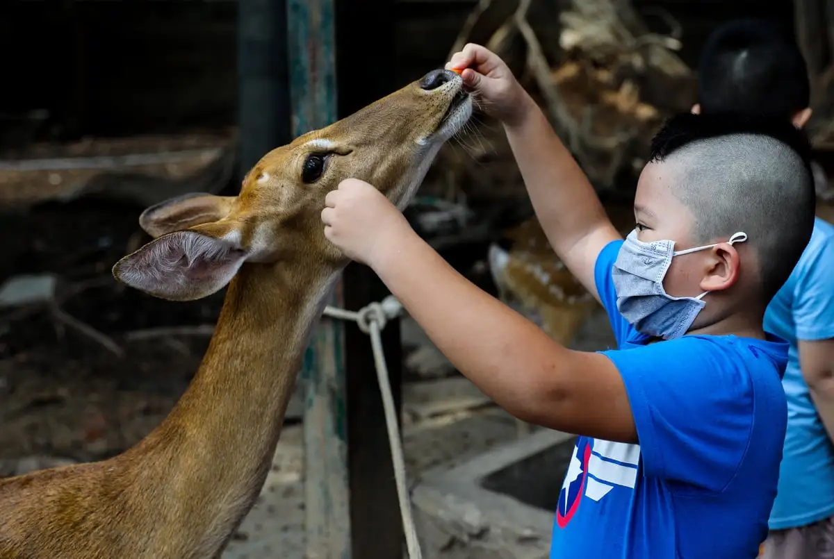 Bảng giá vé vào Công viên Thảo Cầm Viên Sài Gòn mới nhất