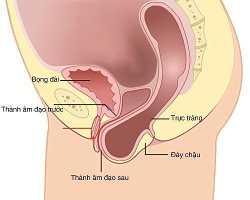 Đi ngoài ra máu: Đừng coi thường