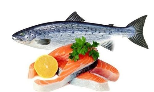 Ăn cá có béo không và những loại cá nào giàu Omega 3?