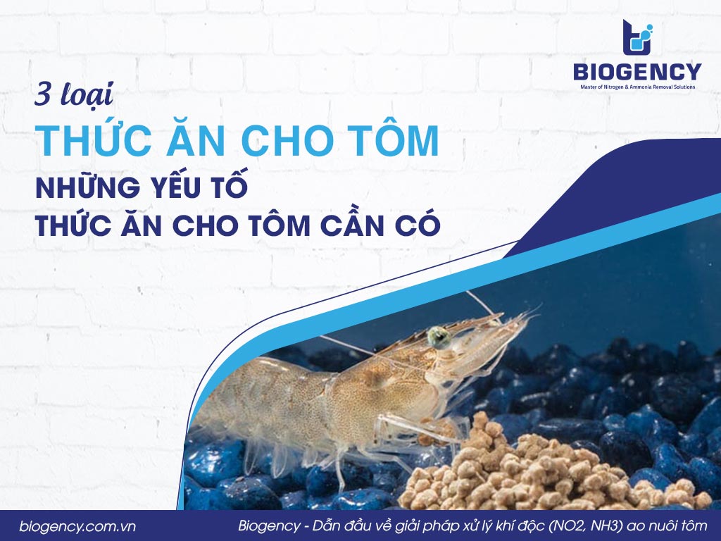 3 loại thức ăn cho tôm và những yếu tố thức ăn cho tôm cần có