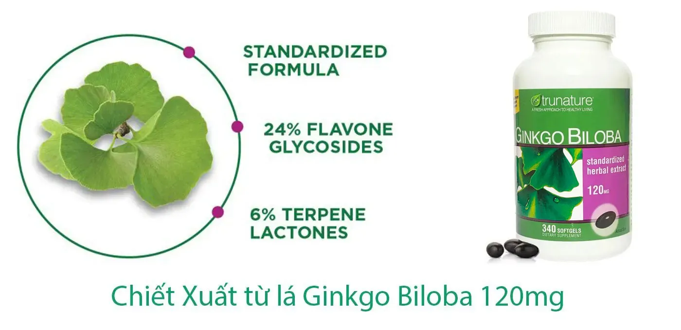 Viên uống bổ não ginkgo biloba 120mg 340 viên của mỹ