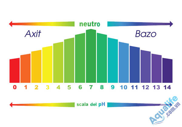 Nồng độ pH là gì? Nước uống có độ pH bao nhiêu là tốt?