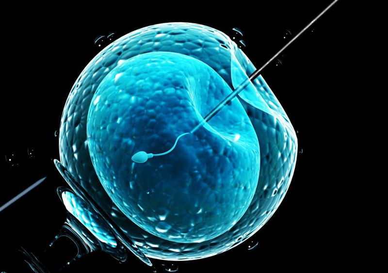 Giải đáp IVF là gì và những lưu ý khi thụ tinh nhân tạo