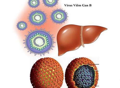 Căn bệnh nguy hiểm viêm gan B lây qua những con đường nào?