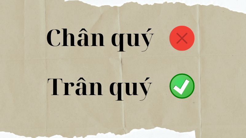 Chân quý hay trân quý đúng chính tả?