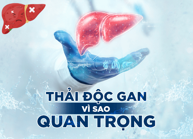 Uống thuốc giải độc gan vào lúc nào tốt nhất?