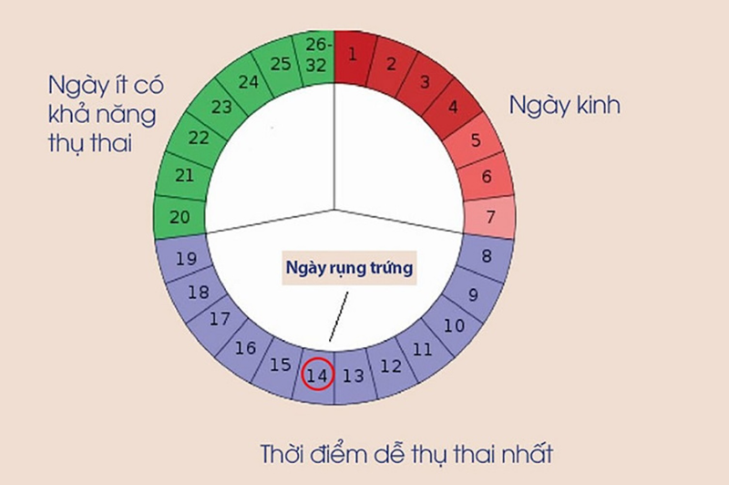 Tránh thai hiệu quả bằng biểu đồ tính ngày quan hệ an toàn