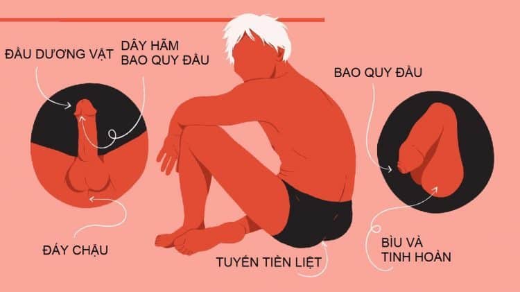 25 điểm nhạy cảm trên cơ thể đàn ông và phụ nữ nên kích thích khi làm tình