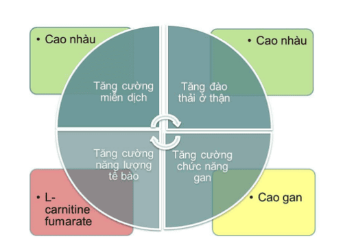 Bị nổi mề đay liên tục, kéo dài, phải làm sao?