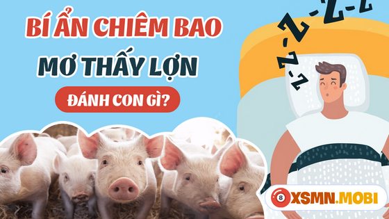 Ngủ mơ thấy lợn là điềm bao may hay xui?