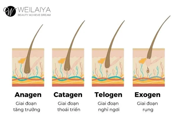 6+ CÁCH LÀM TÓC MÁI NHANH DÀI TRONG 1 TUẦN CÓ THỂ THỰC HIỆN NGAY TẠI NHÀ