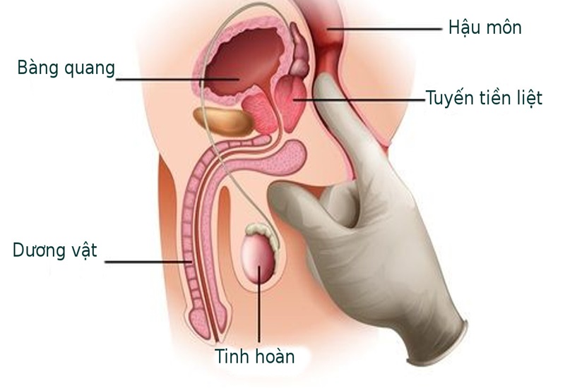 Khám phá sự thật thú vị về điểm G của đàn ông