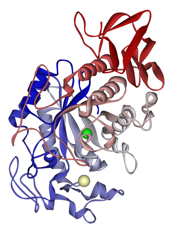 Tại sao Enzyme lại quan trọng?