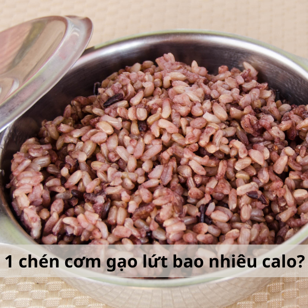 1 Chén Cơm Bao Nhiêu Calo? Cách Ăn Cơm Không Béo