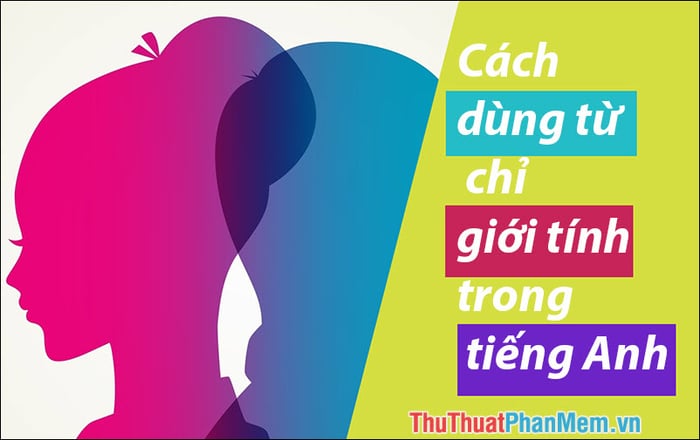 Nam, Nữ là gì? Làm thế nào để sử dụng từ chỉ về giới tính trong tiếng Anh