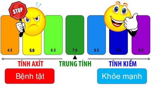 Độ pH Là Gì? Làm Thế Nào Để Cân Bằng Độ pH Trong Cơ Thể?