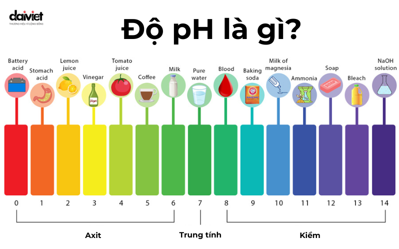 Độ pH Là Gì? Làm Thế Nào Để Cân Bằng Độ pH Trong Cơ Thể?