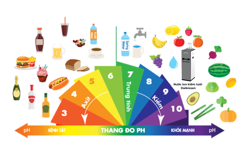 Độ pH Là Gì? Làm Thế Nào Để Cân Bằng Độ pH Trong Cơ Thể?