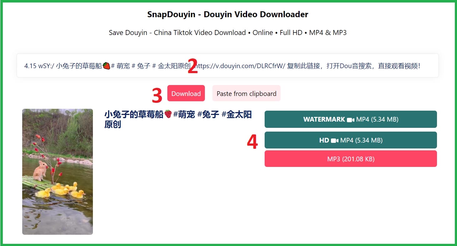 SnapDouyin - Tải Video Douyin Không Logo