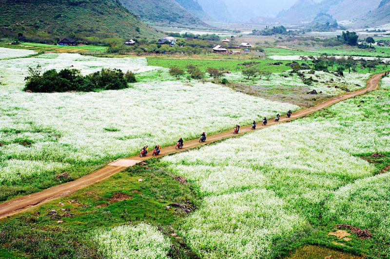 [REVIEW] Kinh nghiệm du lịch Mộc Châu đầy đủ, chi tiết nhất