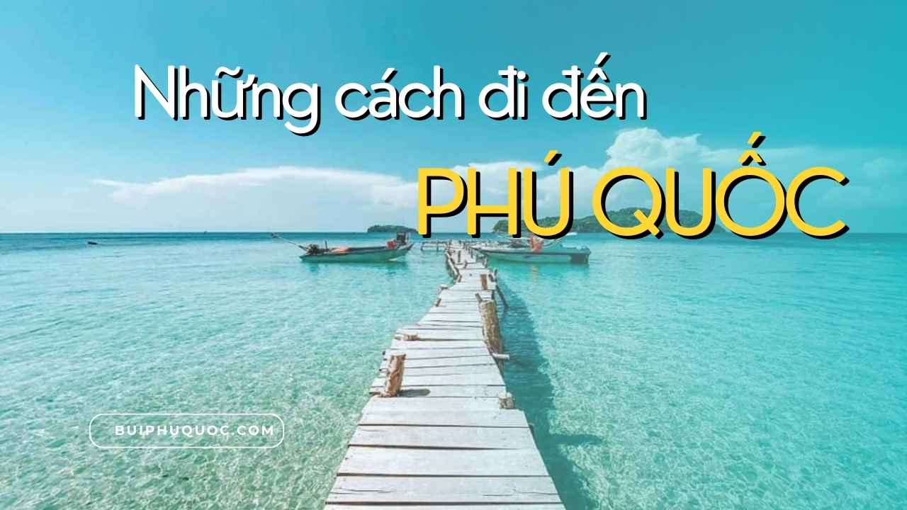 Kinh nghiệm du lịch Phú Quốc cho gia đình có trẻ nhỏ & người già