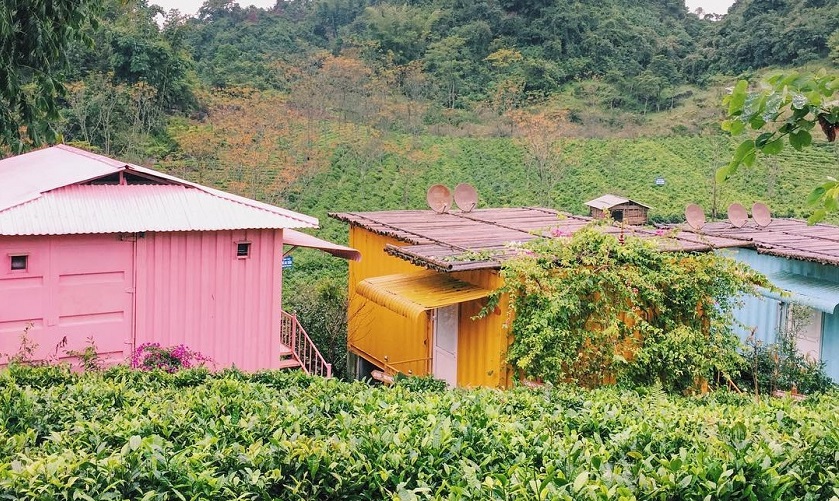 [REVIEW] Kinh nghiệm du lịch Mộc Châu đầy đủ, chi tiết nhất