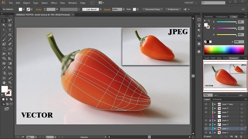 Tải Adobe Illustrator- Phần mềm AI thiết kế đồ họa vector miễn phí